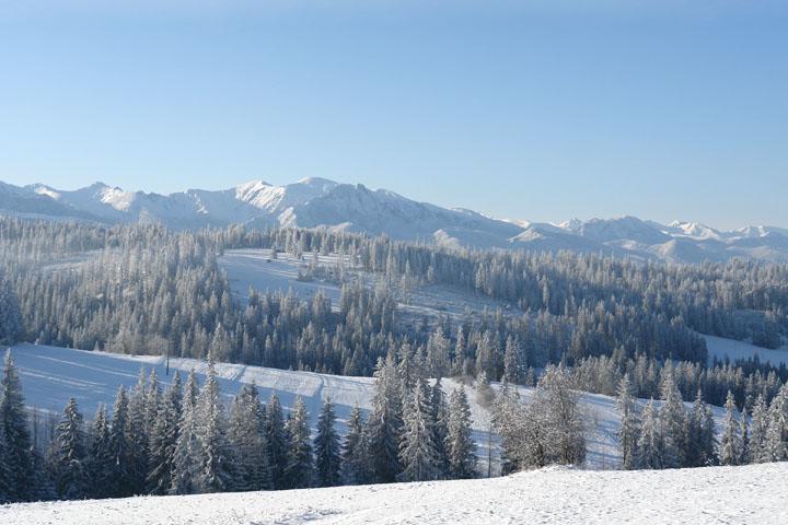 Pokoje Goscinne U Zofii Tatranská Bukovina Exteriér fotografie